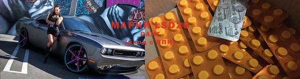 ешки Аркадак
