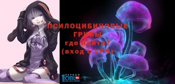 ешки Аркадак