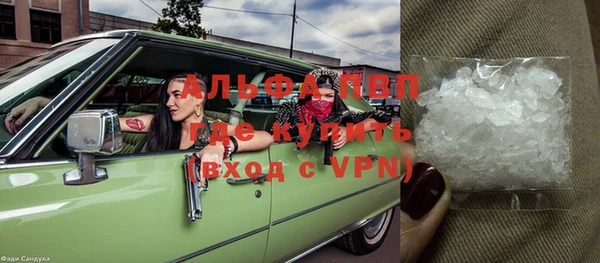 ешки Аркадак